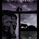 Illustration for article titled Read the First Issue of the Fantastic Animal Apocalypse Comic Legend, Here For Free